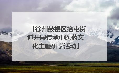 徐州鼓楼区拾屯街道开展传承中医药文化主题研学活动