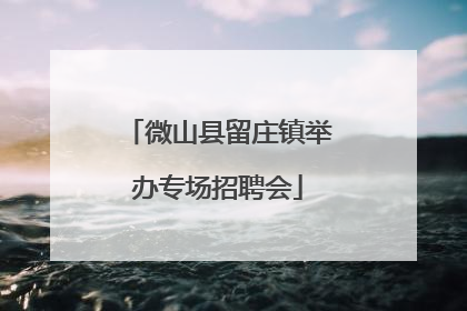 微山县留庄镇举办专场招聘会