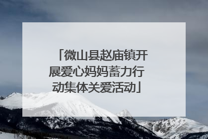 微山县赵庙镇开展爱心妈妈蓄力行动集体关爱活动