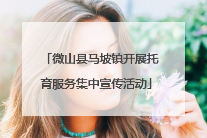 微山县马坡镇开展托育服务集中宣传活动