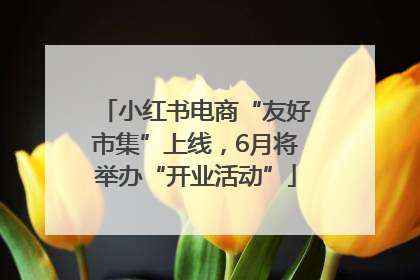 小红书电商“友好市集”上线，6月将举办“开业活动”
