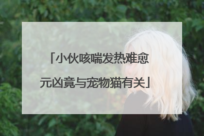 小伙咳喘发热难愈 元凶竟与宠物猫有关