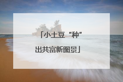 小土豆“种”出共富新图景