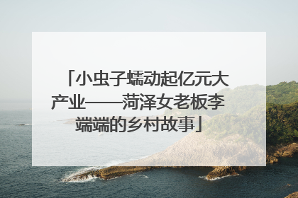 小虫子蠕动起亿元大产业——菏泽女老板李端端的乡村故事
