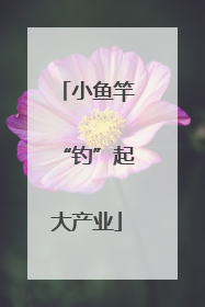 小鱼竿“钓”起大产业