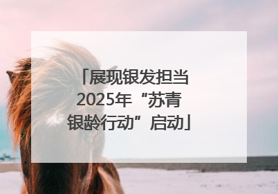 展现银发担当 2025年“苏青银龄行动”启动