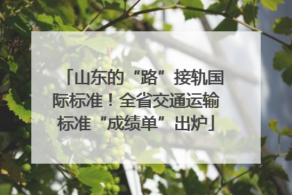 山东的“路”接轨国际标准！全省交通运输标准“成绩单”出炉