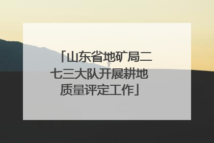 山东省地矿局二七三大队开展耕地质量评定工作