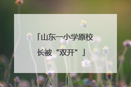 山东一小学原校长被“双开”