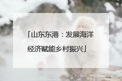 山东东港：发展海洋经济赋能乡村振兴