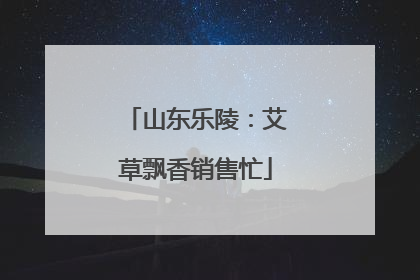 山东乐陵：艾草飘香销售忙