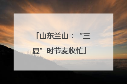 山东兰山：“三夏”时节麦收忙