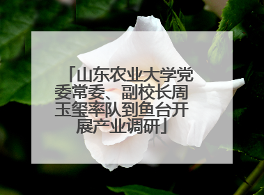 山东农业大学党委常委、副校长周玉玺率队到鱼台开展产业调研