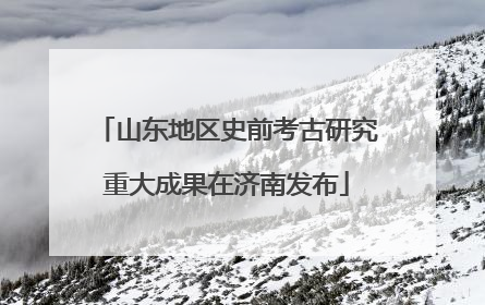 山东地区史前考古研究重大成果在济南发布