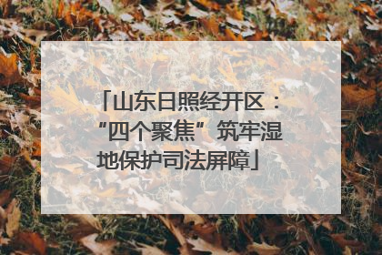 山东日照经开区：“四个聚焦”筑牢湿地保护司法屏障