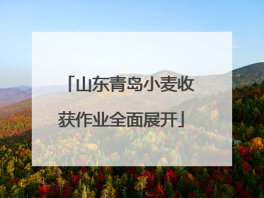 山东青岛小麦收获作业全面展开