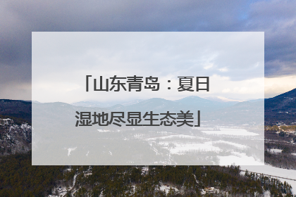山东青岛：夏日湿地尽显生态美