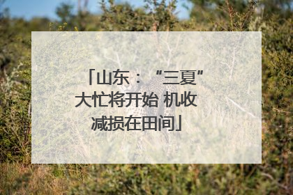 山东：“三夏”大忙将开始 机收减损在田间