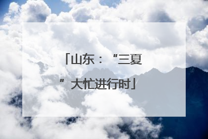 山东：“三夏”大忙进行时