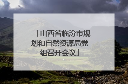 山西省临汾市规划和自然资源局党组召开会议