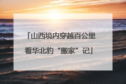 山西境内穿越百公里 看华北豹“搬家”记