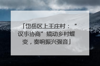 岱岳区上王庄村：“议事协商”撬动乡村蝶变，奏响振兴强音