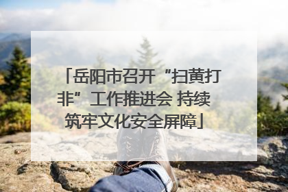 岳阳市召开“扫黄打非”工作推进会 持续筑牢文化安全屏障