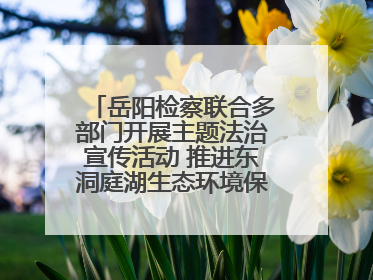 岳阳检察联合多部门开展主题法治宣传活动 推进东洞庭湖生态环境保护工作