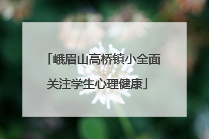 峨眉山高桥镇小全面关注学生心理健康