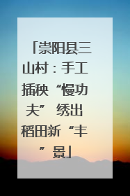 崇阳县三山村：手工插秧“慢功夫” 绣出稻田新“丰”景