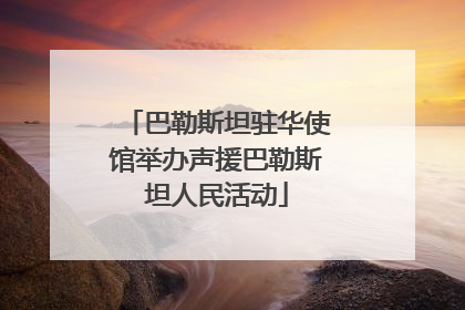 巴勒斯坦驻华使馆举办声援巴勒斯坦人民活动