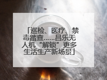 巡检、医疗、禁毒踏查……昌乐无人机“解锁”更多生活生产新场景