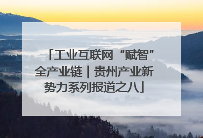 工业互联网“赋智”全产业链｜贵州产业新势力系列报道之八