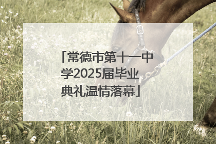 常德市第十一中学2025届毕业典礼温情落幕