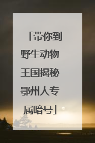 带你到野生动物王国揭秘鄂州人专属暗号