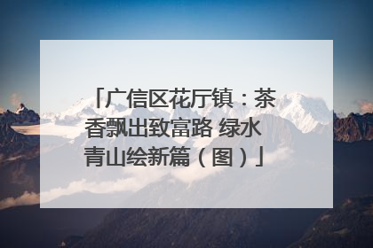 广信区花厅镇：茶香飘出致富路 绿水青山绘新篇（图）