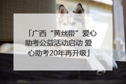 广西“黄丝带”爱心助考公益活动启动 爱心助考20年再升级