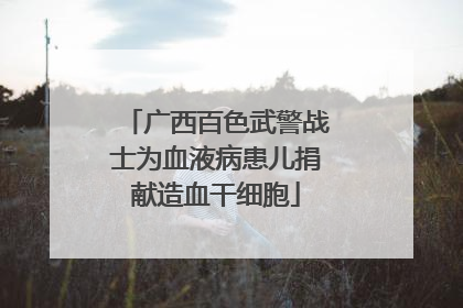广西百色武警战士为血液病患儿捐献造血干细胞