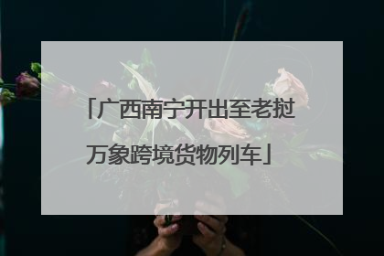 广西南宁开出至老挝万象跨境货物列车