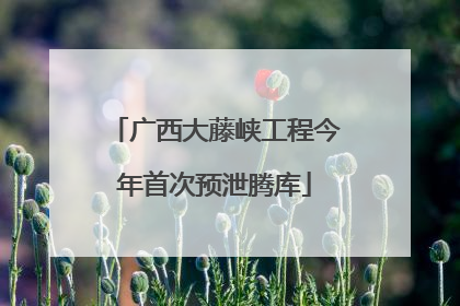 广西大藤峡工程今年首次预泄腾库