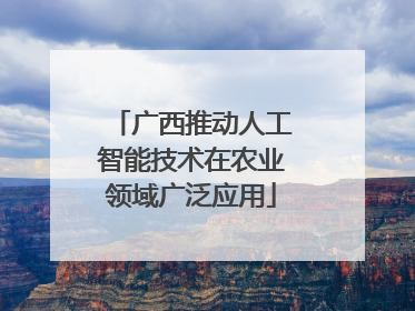 广西推动人工智能技术在农业领域广泛应用