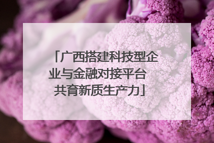 广西搭建科技型企业与金融对接平台 共育新质生产力