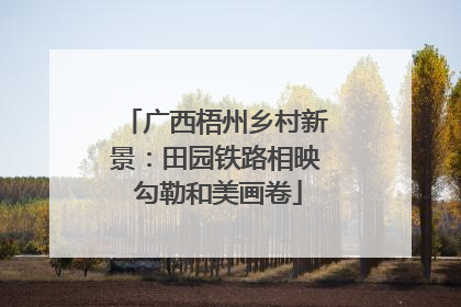 广西梧州乡村新景：田园铁路相映 勾勒和美画卷
