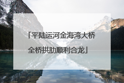 平陆运河金海湾大桥全桥拱肋顺利合龙