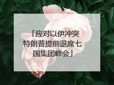 应对以伊冲突 特朗普提前退席七国集团峰会