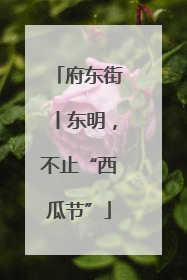 府东街丨东明，不止“西瓜节”