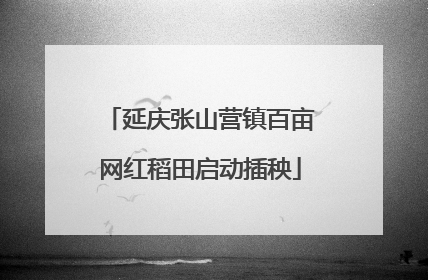 延庆张山营镇百亩网红稻田启动插秧