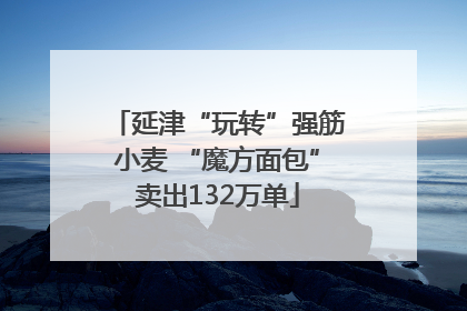 延津“玩转”强筋小麦 “魔方面包”卖出132万单