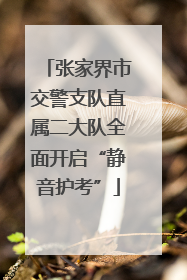 张家界市交警支队直属二大队全面开启“静音护考”