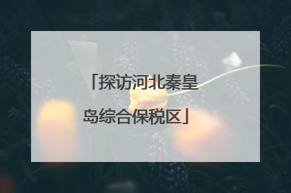 探访河北秦皇岛综合保税区
